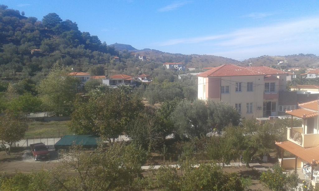 Vassilis Studios Anaxos Eksteriør bilde